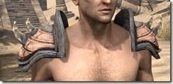 Wood-Elf-Full-Leather-Arm-Cops-Male-Front_thumb.jpg