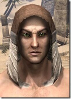 Wood-Elf-Hat-Male-Front_thumb.jpg
