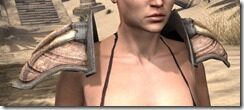 Wood-Elf-Hide-Arm-Cops-Female-Front_thumb.jpg