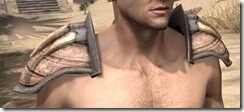Wood-Elf-Hide-Arm-Cops-Male-Front_thumb.jpg