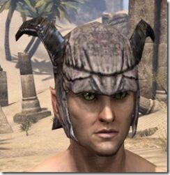 Wood-Elf-Iron-Helm-Male-Front_thumb.jpg