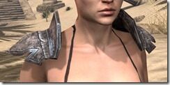 Wood-Elf-Iron-Pauldrons-Female-Front_thumb.jpg