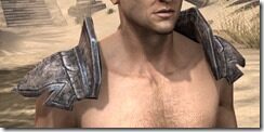 Wood-Elf-Iron-Pauldrons-Male-Front_thumb.jpg