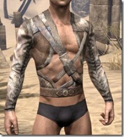 Wood-Elf-Jerkin-Male-Front_thumb.jpg