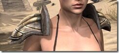 Wood-Elf-Leather-Arm-Cops-Female-Front_thumb.jpg