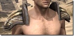 Wood-Elf-Leather-Arm-Cops-Male-Front_thumb.jpg