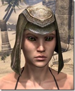 Wood-Elf-Leather-Helmet-Female-Front_thumb.jpg