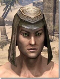 Wood-Elf-Leather-Helmet-Male-Front_thumb.jpg