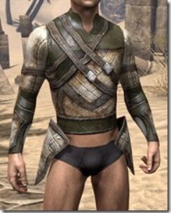 Wood-Elf-Leather-Jack-Male-Front_thumb.jpg