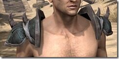 Wood-Elf-Orichalc-Pauldrons-Male-Front_thumb.jpg