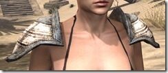 Wood-Elf-Rawhide-Arm-Cops-Female-Front_thumb.jpg