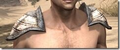 Wood-Elf-Rawhide-Arm-Cops-Male-Front_thumb.jpg
