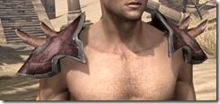 Wood-Elf-Spidersilk-Epaulets-Male-Front_thumb.jpg