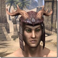 Wood-Elf-Spidersilk-Hat-Male-Front_thumb.jpg