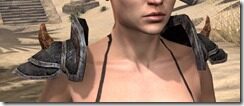 Wood-Elf-Steel-Pauldrons-Female-Front_thumb.jpg