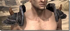 Wood-Elf-Steel-Pauldrons-Male-Front_thumb.jpg