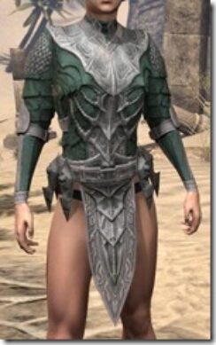 Worm-Cult-Homespun-Jerkin-Female-Front_thumb.jpg
