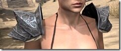 Yokudan-Iron-Pauldron-Female-Front_thumb.jpg