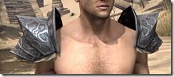 Yokudan-Iron-Pauldron-Male-Front_thumb.jpg