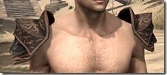 Yokudan-Rawhide-Arm-Cops-Male-Front_thumb.jpg