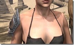 Balorgh-Pauldrons-Female-Front_thumb.jpg