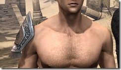 Balorgh-Pauldrons-Male-Front_thumb.jpg
