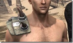 Blood-Spawn-Pauldrons-Male-Front_thumb.jpg