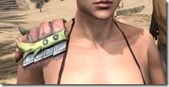 Chokethorn-Pauldrons-Female-Front_thumb.jpg