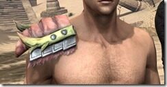 Chokethorn-Pauldrons-Male-Front_thumb.jpg