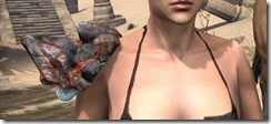 Earthgore-Pauldrons-Female-Front_thumb.jpg