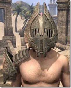 Engine-Guardian-Male-Front_thumb.jpg