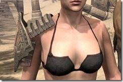 Engine-Guardian-Pauldrons-Female-Front_thumb.jpg