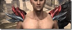 Firedrake-Pauldrons-Male-Front_thumb.jpg