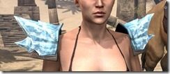 Iceheart-Pauldrons-Female-Front_thumb.jpg