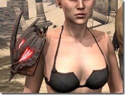 Infernal-Guardian-Pauldrons-Female-Front_thumb.jpg