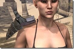 Lord-Warden-Dusk-Pauldrons-Female-Front_thumb.jpg