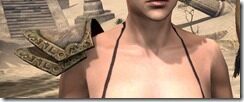 Nerieneth-Pauldrons-Female-Front_thumb.jpg