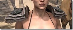 Pirate-Skeleton-Pauldrons-Female-Front_thumb.jpg