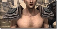 Pirate-Skeleton-Pauldrons-Male-Front_thumb.jpg