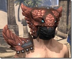 Sellistrix-Male-Front_thumb.jpg