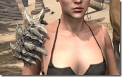 Thurvokun-Pauldrons-Female-Front_thumb.jpg