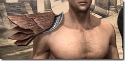 Tremorscale-Pauldrons-Male-Front_thumb.jpg