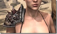 Velidreth-Pauldrons-Female-Front_thumb.jpg