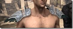 Welkynar-Rawhide-Arm-Cops-Male-Front_thumb.jpg