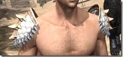 Dead-Water-Iron-Pauldron-Male-Front_thumb.jpg