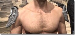 Elder-Argonian-Homespun-Epaulets-Male-Front_thumb.jpg
