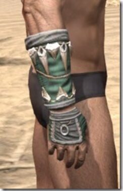 Elder-Argonian-Homespun-Gloves-Male-Right_thumb.jpg