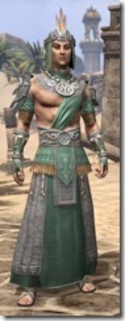 Elder-Argonian-Homespun-Male-Robe-Front_thumb.jpg