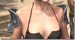 Elder-Argonian-Rawhide-Arm-Cops-Female-Front_thumb.jpg