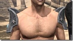 Elder-Argonian-Rawhide-Arm-Cops-Male-Front_thumb.jpg